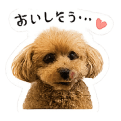 kero_20260511195539