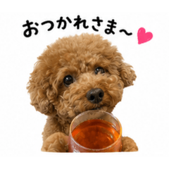 coco_20260511194600