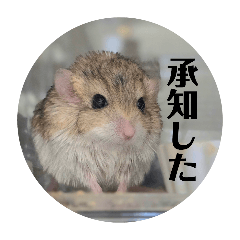 munyuchandesu