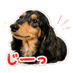 erina_20260511195627
