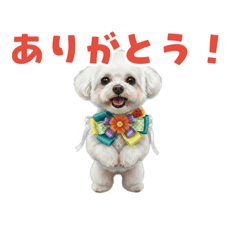 mokeke_20260511204647