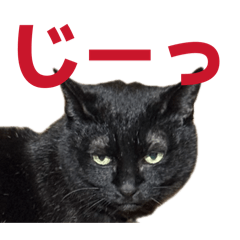 Black cat Ran stamp