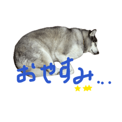 Tamago_20260511204627