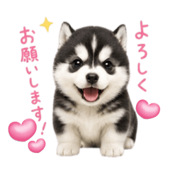 Kotastamp_20260511204945
