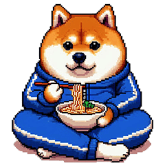 blue tracksuit fat shiba cheerful