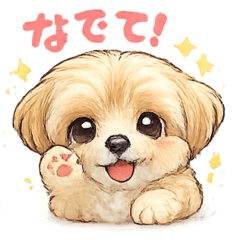 Belle, the fluffy maltipoo! !