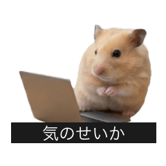 Let's work with the hamster!
