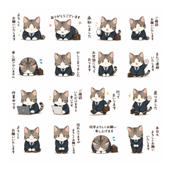 Office Cat Daily Greetings