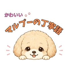 Polite Maltipoo Stickers