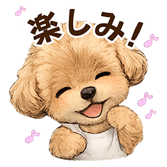 A Slightly Cute Toy poodle.vol2