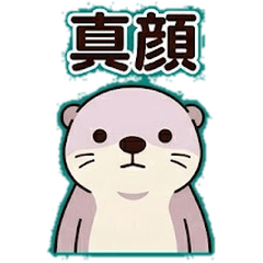 Plump Otter: Honesty & Daily Life