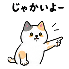 Miyazaki Dialect Lazy Cats