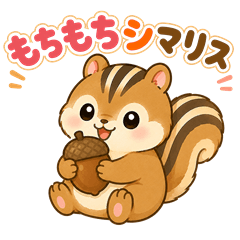 Mochi-mochi Chipmunk "Shimari"