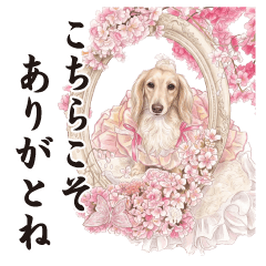 everyday dogs 2(Frequently used words)
