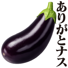 [Incredibly useful] Eggplant