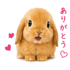Fluffy Baby Bunny Stickers
