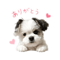 mami_20260514202920