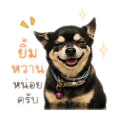 Nuenggpig xUTI_20260428170848