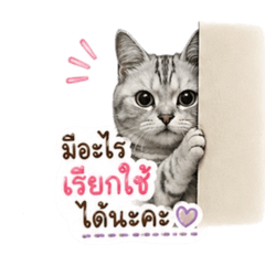 Namkhang Rainny