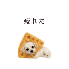 Ohagi_20260514213002