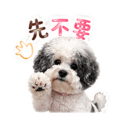 陳春嬌！