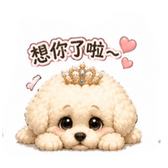 比熊～Q比