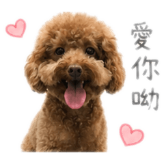 兇狠拉吉也是有可愛的時後