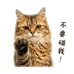 傲嬌的小妙麗