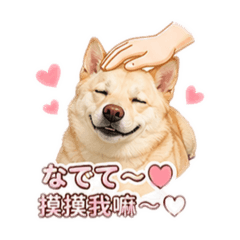 Harji