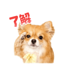 f_20260511200549