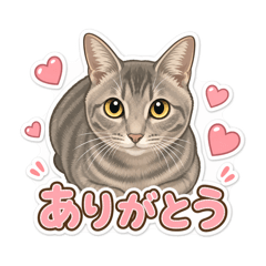sachiko_20260511200739