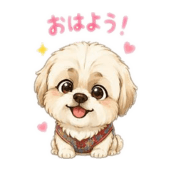 ririri_20260511200538