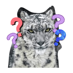 snowleopard wow