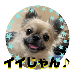 rokumama_20260511201134