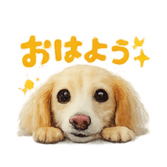 mirarise_20260511204032