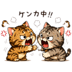 Maro_20260511204029