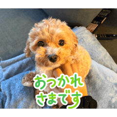 uki_20260511210737