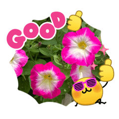 kazuookawa_20260511205530