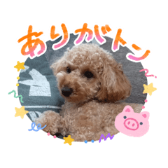 narumichi_20260511210711