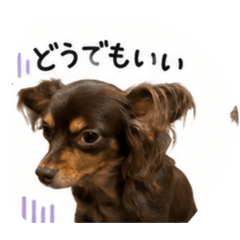 RIEKO_20260511211151