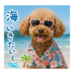hitomin_20260511210732