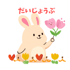 Everyday BunnyBunny