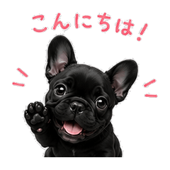 Black French Bulldog Puppy Stickers