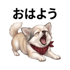 Chiwawasan