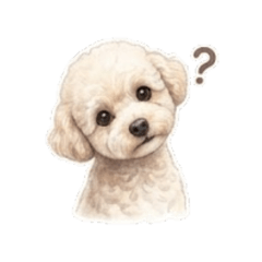 Fluffy Puppy Daily