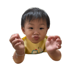 貴貴表情貼