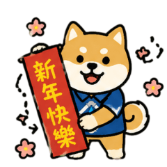 通水管柴犬