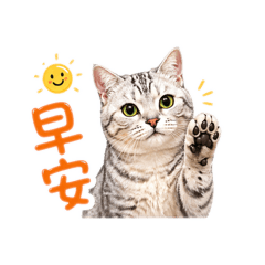 喵咪日常語錄