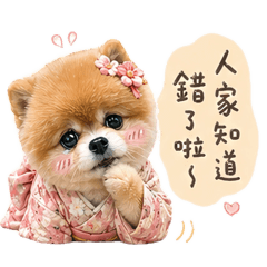 澎澎：充滿抱歉