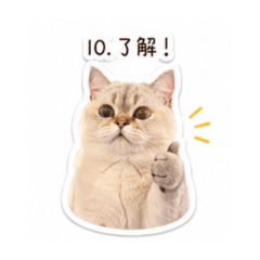 Good的